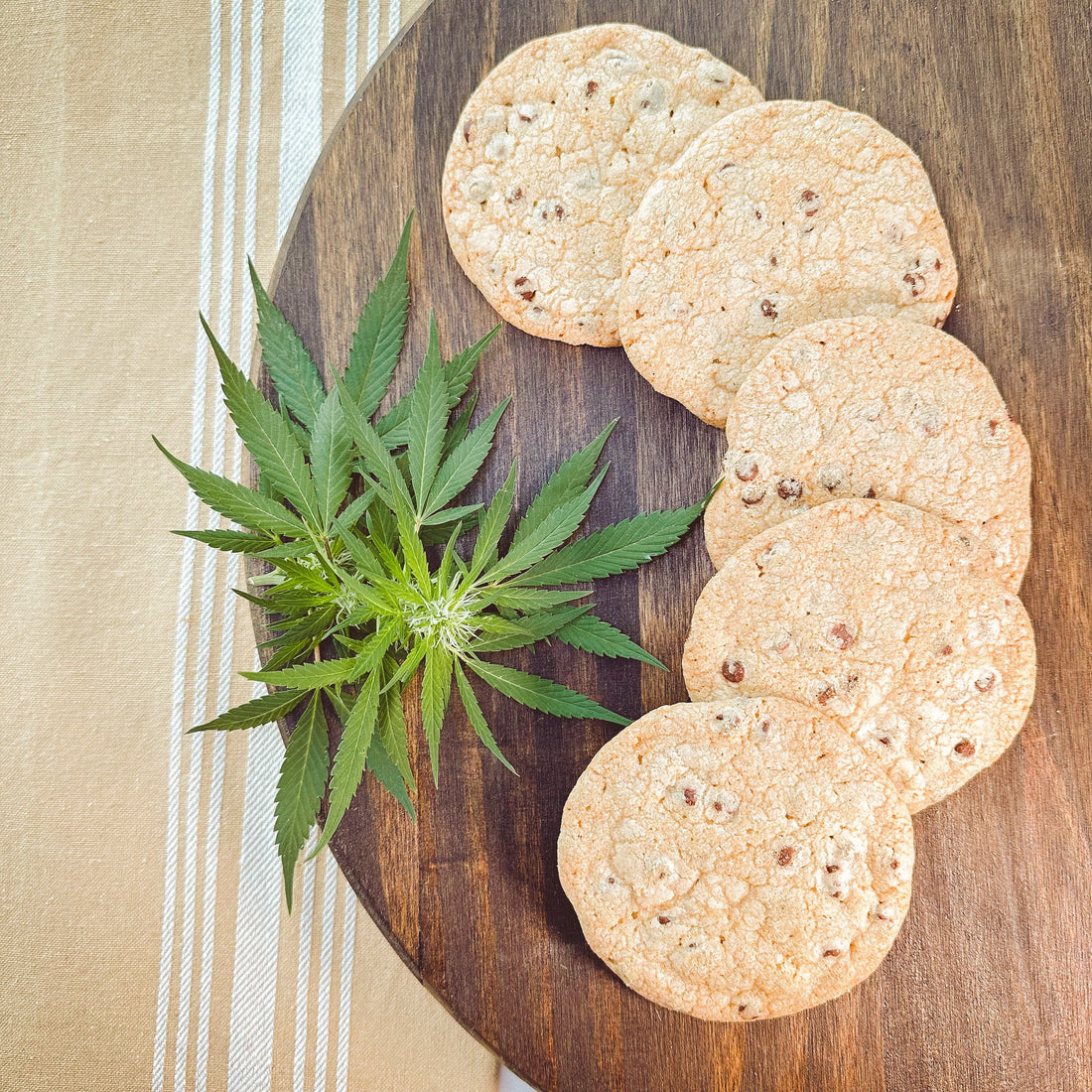 Delta 8 Classic Chocolate Chip Cookies